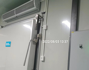 新建一座速凍冷庫凍庫造價(jià)成本正常需要多少錢