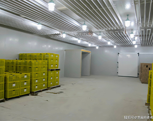 建設(shè)一個150平米氣調(diào)庫，大概需要多少資金