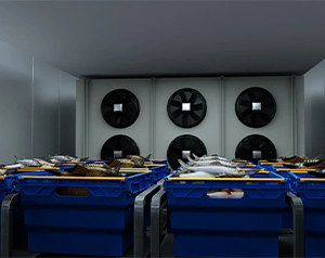 亂世之秋 生鮮電商如何突圍？