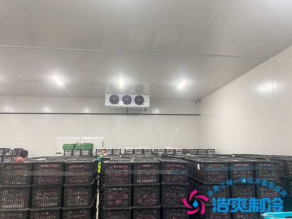 100立方冷凍庫(kù)造價(jià)預(yù)算需要多少錢(qián)？