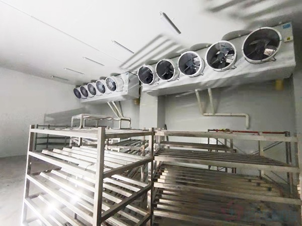 建造1000立方冷凍庫配多大壓縮機？造價預(yù)算多少錢？