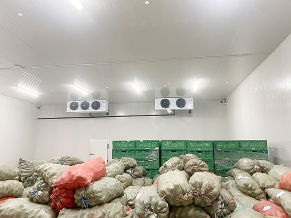 影響蔬菜保鮮冷庫建造價(jià)格的因素有哪些？