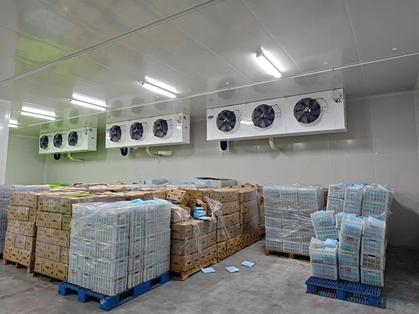 大型工業(yè)藥品冷庫(kù)建設(shè)安裝價(jià)格大概多少錢(qián)？