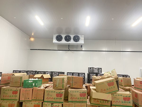 福建生鮮果蔬冷庫造價表