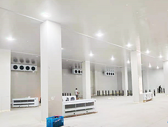 建一座萬(wàn)噸大蒜冷庫(kù)需要多少錢(qián)？