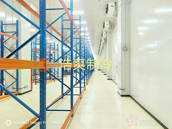 藥品冷鏈倉(cāng)庫(kù)建造
