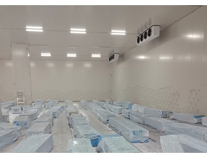 安徽翔威供應(yīng)鏈14500m3保稅區(qū)冷鏈物流冷庫工程建造案例